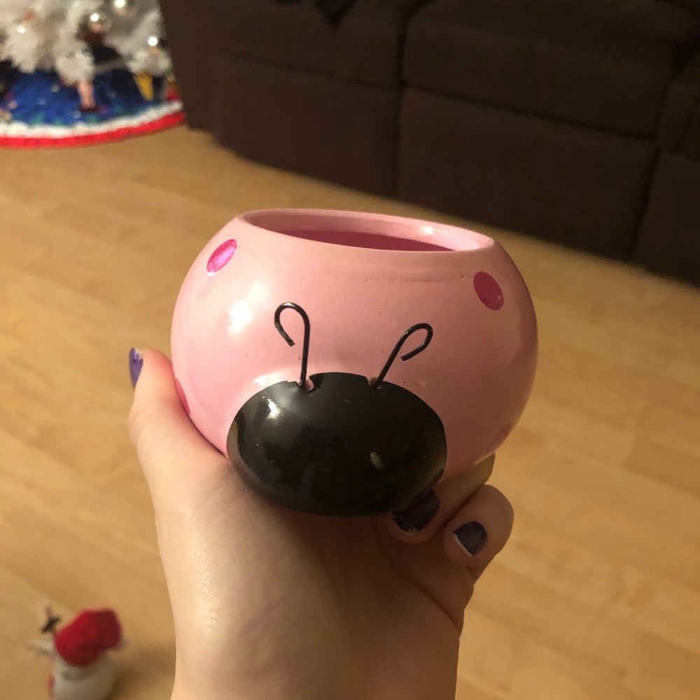 Lady Bug Plant Pot